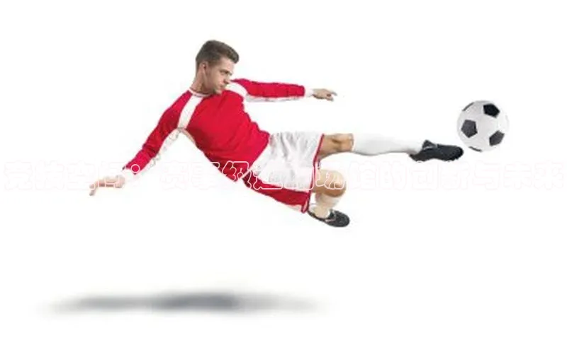 九游会·(J9)官方网站