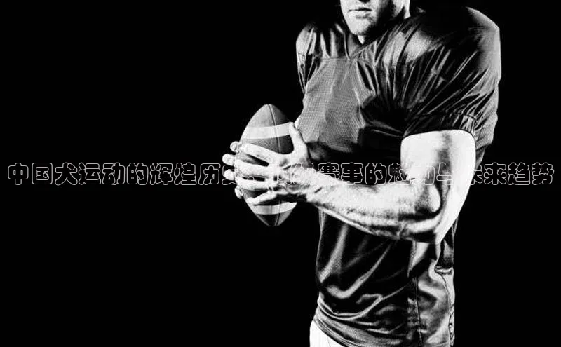 J9九游会老哥俱乐部