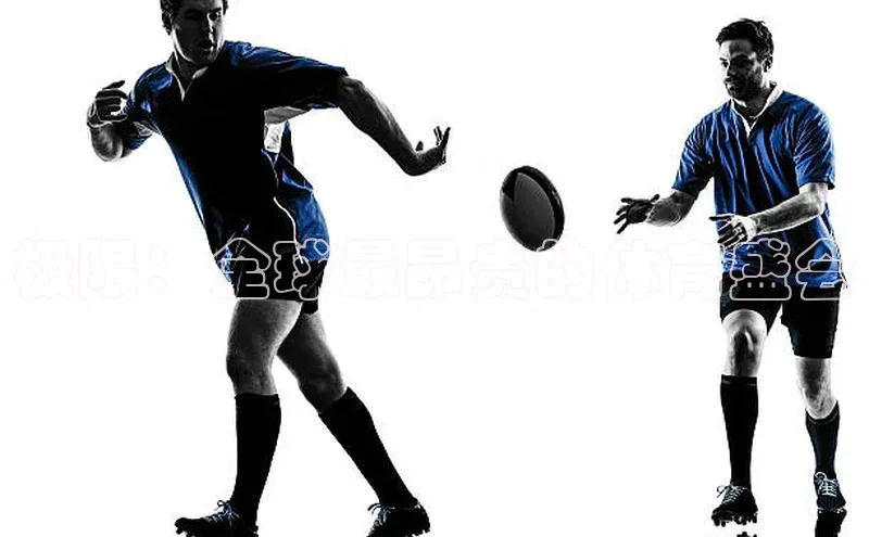 九游会J9.(中国)官方网站