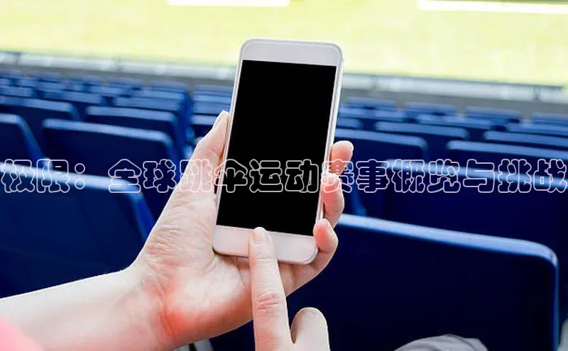 极限：全球跳伞运动赛事概览与挑战